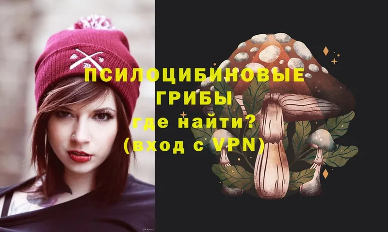 Псилоцибиновые грибы Psilocybine cubensis  Красноуральск 